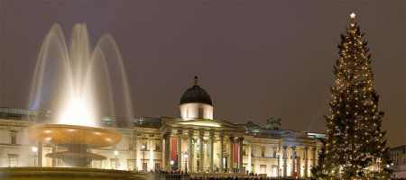 Trafalgar Square Christmas Tree