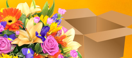 Flower Packing: The Importance of Good Packing